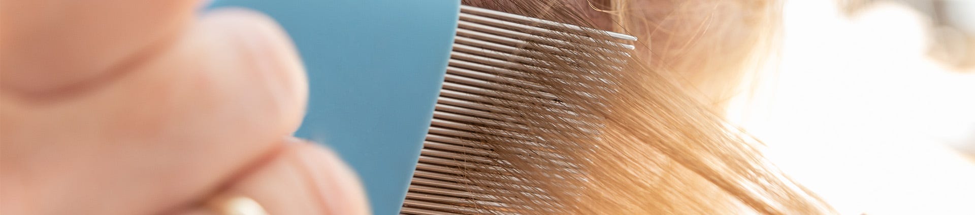 A Guide to Head Lice Outbreak